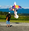 Flugtag 2012_11