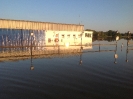 Hochwasser 2013_11