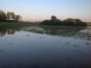 Hochwasser 2013_2