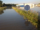 Hochwasser 2013_36
